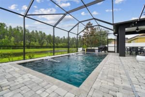 19428 PADDOCK VIEW DRIVE, TAMPA, FL 33647 Sold 09/19/23