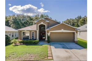 10446 LUCAYA DRIVE, TAMPA, FL 33647 Sold 07/25/23