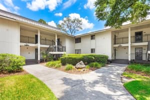 29147 BAY HOLLOW DRIVE, WESLEY CHAPEL, FL 33543 Sold 06/30/23