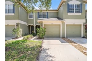 2749 CONCH HOLLOW DRIVE, BRANDON, FL 33511 Sold 07/19/23