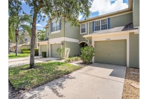 2749 CONCH HOLLOW DRIVE, BRANDON, FL 33511 Sold 07/19/23