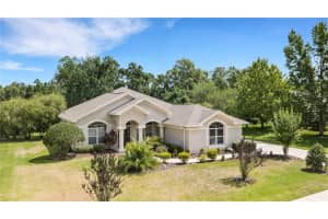 6022 KESTREL POINT AVENUE, LITHIA, FL 33547 Sold 06/23/23