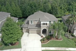 19329 AUTUMN CHASE COURT, LAND O LAKES, FL 34638 Sold 09/25/23