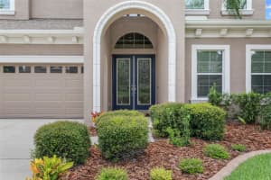 19329 AUTUMN CHASE COURT, LAND O LAKES, FL 34638 Sold 09/25/23