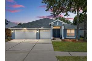10541 SAN TRAVASO DRIVE, TAMPA, FL 33647 Sold 08/04/23
