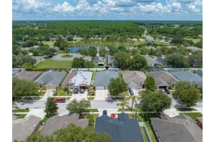 10541 SAN TRAVASO DRIVE, TAMPA, FL 33647 Sold 08/04/23