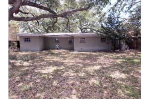 3605 BELCHER DRIVE, TAMPA, FL 33629 Sold 07/03/23