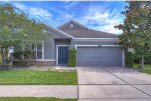 3110 MAGNOLIA MEADOWS DRIVE, PLANT CITY, FL 33567 Sold 07/24/23
