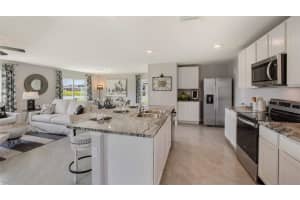33552 BARBERRY LEAF WAY, WESLEY CHAPEL, FL 33543 Sold 12/14/23