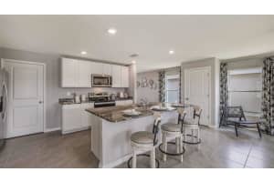 33552 BARBERRY LEAF WAY, WESLEY CHAPEL, FL 33543 Sold 12/14/23