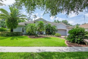 21202 SKY VISTA DRIVE, LAND O LAKES, FL 34637 Sold 08/24/23