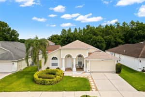 18143 PALM BREEZE DRIVE, TAMPA, FL 33647 Sold 09/05/23