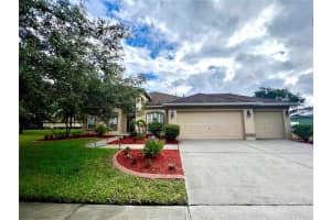 14112 CREEK RUN DRIVE, RIVERVIEW, FL 33579 Sold 07/06/23