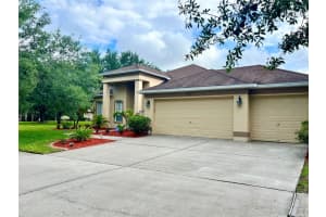 14112 CREEK RUN DRIVE, RIVERVIEW, FL 33579 Sold 07/06/23