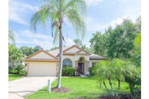 23223 23223 EMERSON WAY WAY, LAND O LAKES, FL 34639 Sold 07/28/23