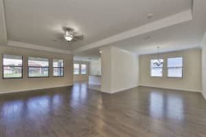 11934 CINNAMON FERN DRIVE, RIVERVIEW, FL 33579 Sold 07/17/23