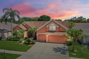 4311 BUCKHORN GROVES COURT, VALRICO, FL 33596 Sold 08/10/23