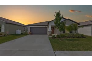 16676 DELIA STREET, WIMAUMA, FL 33598 Sold 08/25/23