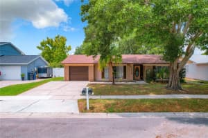 6624 REEF CIR, TAMPA, FL 33625 Sold 07/14/23