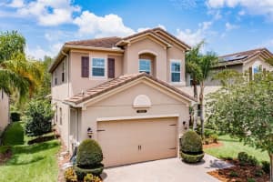 30362 CEASAR PARK DRIVE, WESLEY CHAPEL, FL 33543 Sold 11/06/23