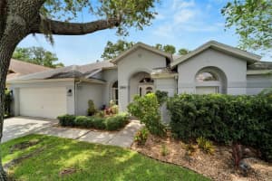 12854 BIG SUR DRIVE, TAMPA, FL 33625 Sold 10/02/23