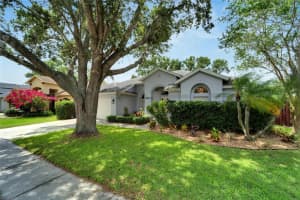 12854 BIG SUR DRIVE, TAMPA, FL 33625 Sold 10/02/23