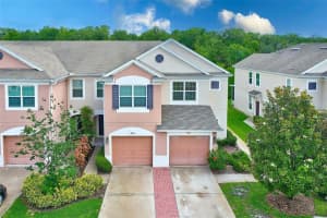 26527 CASTLEVIEW WAY, WESLEY CHAPEL, FL 33544 Sold 08/04/23