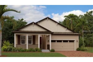 19442 BRISTOL WOOD PLACE, BROOKSVILLE, FL 34601 Sold 12/06/24