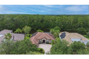 8456 DUNHAM STATION DRIVE, TAMPA, FL 33647 Sold 12/05/23