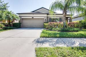 11638 PALMETTO PINE STREET, RIVERVIEW, FL 33569 Sold 07/31/23