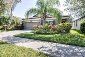 11638 PALMETTO PINE STREET, RIVERVIEW, FL 33569 Sold 07/31/23