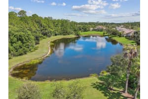 11907 MERIDIAN POINT DRIVE, TAMPA, FL 33626 Sold 09/07/23