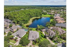 11907 MERIDIAN POINT DRIVE, TAMPA, FL 33626 Sold 09/07/23