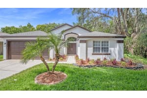 35717 WELBY COURT, ZEPHYRHILLS, FL 33541 Sold 10/05/23