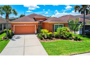 11403 CAMDEN YARD LANE, LITHIA, FL 33547 Sold 07/10/23
