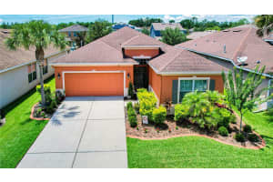 11403 CAMDEN YARD LANE, LITHIA, FL 33547 Sold 07/10/23