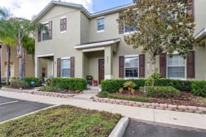 8521 BRUSHLEAF WAY, TAMPA, FL 33647 Sold 07/14/23