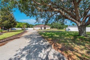11305 HOOT OWL COURT, RIVERVIEW, FL 33569 Sold 07/31/23
