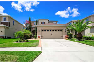 18819 SUNTERRA DRIVE, LAND O LAKES, FL 34638 Sold 09/05/23