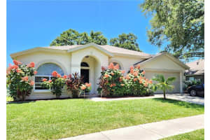 10456 ASHLEY OAKS DRIVE, RIVERVIEW, FL 33578 Sold 08/11/23