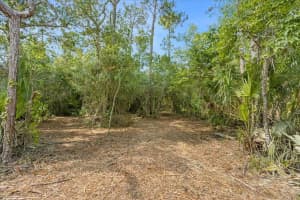 MAR LISA COVE RD, LAKE WALES, FL 33898 - MLS#MFRT3452817