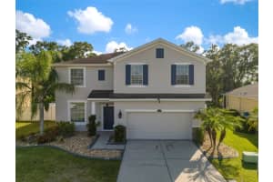 2623 HOLLY BLUFF COURT, PLANT CITY, FL 33566 Sold 09/05/23