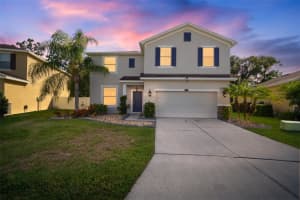 2623 HOLLY BLUFF COURT, PLANT CITY, FL 33566 Sold 09/05/23