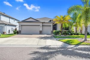 10008 CELTIC ASH DRIVE, RUSKIN, FL 33573 Sold 09/28/23