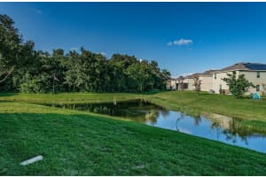 764 ASHENTREE DRIVE, PLANT CITY, FL 33563 Sold 09/22/23