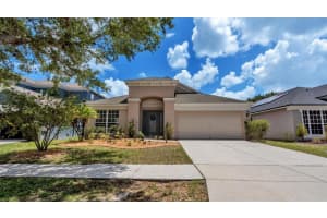 11521 MISTY ISLE LANE, RIVERVIEW, FL 33579 Sold 07/24/23