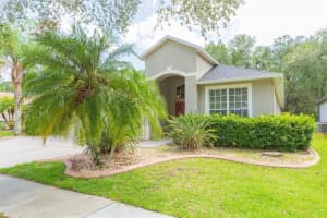 19252 MEADOW PINE DRIVE, TAMPA, FL 33647 Sold 08/18/23