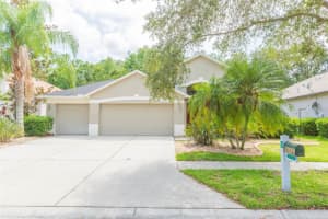 19252 MEADOW PINE DRIVE, TAMPA, FL 33647 Sold 08/18/23