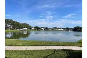 302 LAKE PARSONS GREEN, BRANDON, FL 33511 Sold 08/18/23