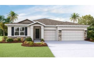 23199 PACHINO WAY, LUTZ, FL 33549 Sold 12/26/23